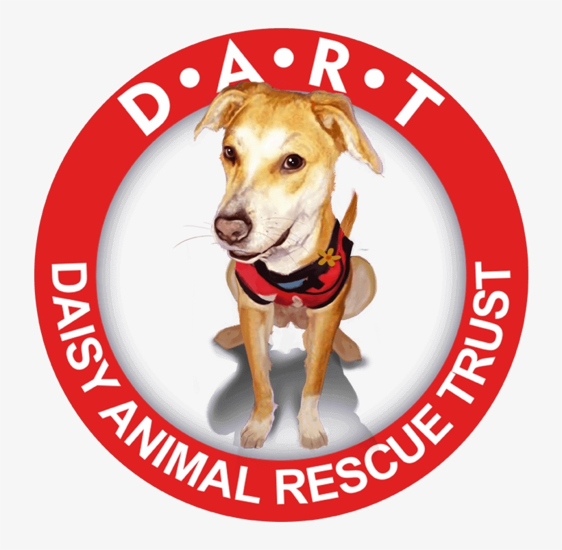 Daisy Animal Rescue Trust - De Vera's Medical Center, transparent png download