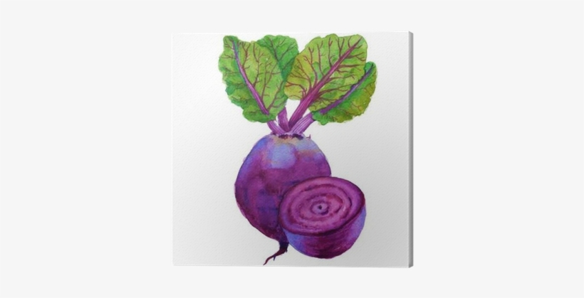 Beets With Leaves - Watercolor Painting, transparent png download