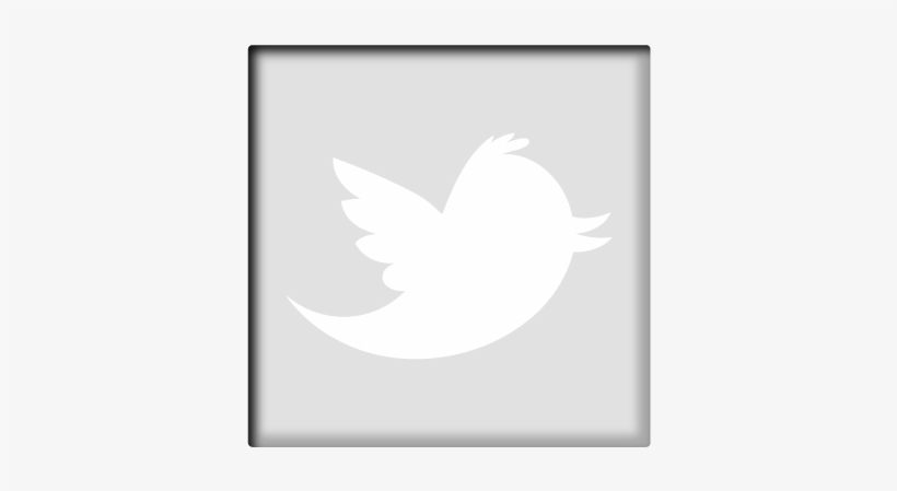 About Us - Angel, transparent png download