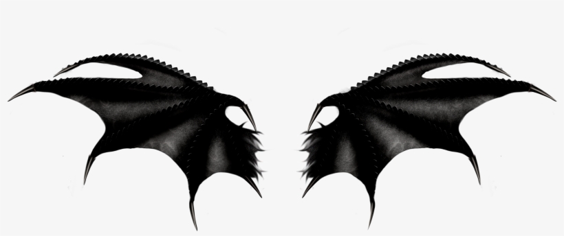 Đôi Cánh Để Ghép Ảnh, transparent png download