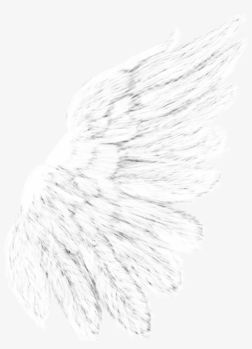 Scrap Around The Globe - Pregnancy And Infant Loss Remembrance Day, transparent png download
