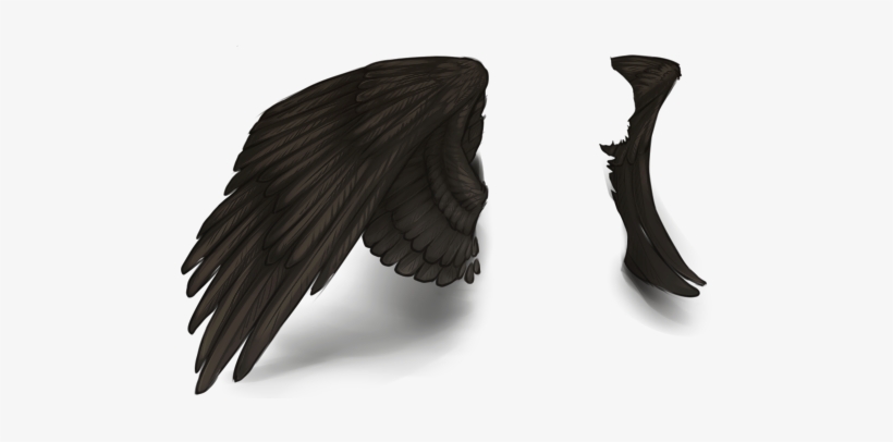 Raven, transparent png download