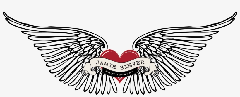 Logo Black Wings - Illustration, transparent png download