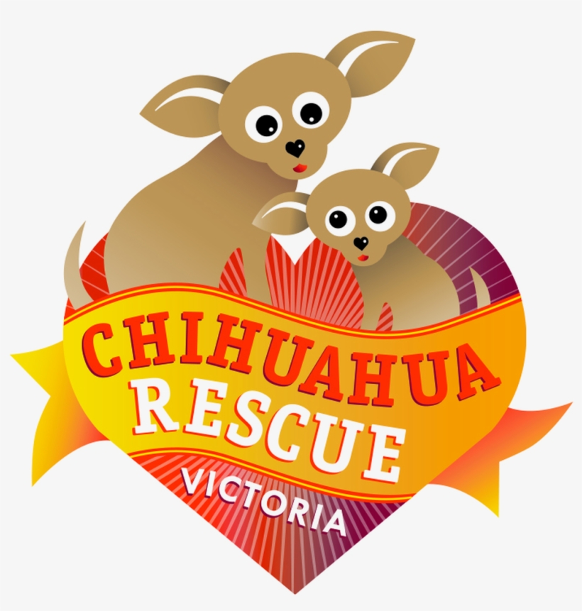 Chihuahua, transparent png download