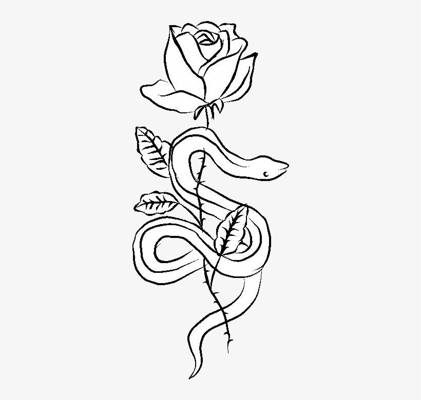 Coven Of The Black Rose, transparent png download