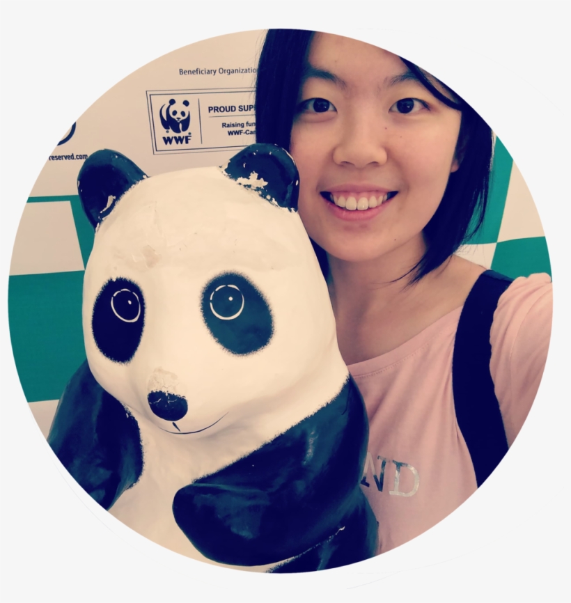 About Me Profile Picture Circle 1 - Panda, transparent png download