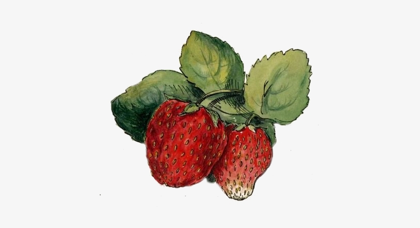 Transparency / Overlay For Personal Use - Vintage Strawberry, transparent png download