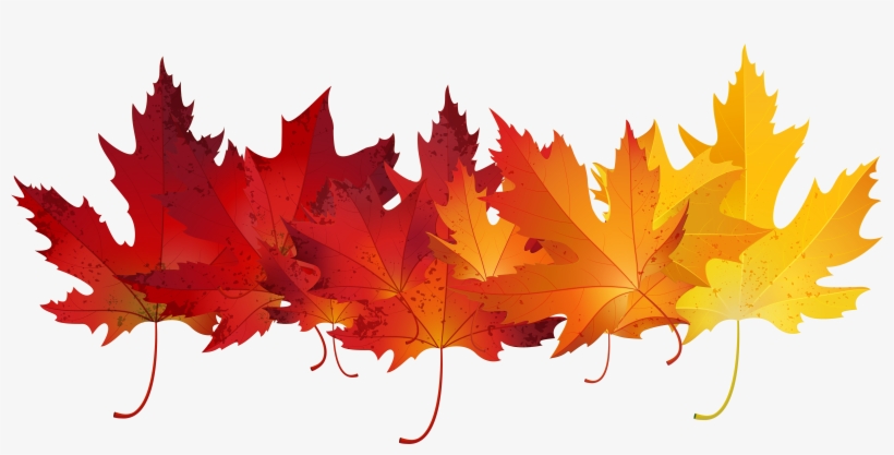 Red Autumn Leaves Transparent Clip Art Image Gallery, transparent png download