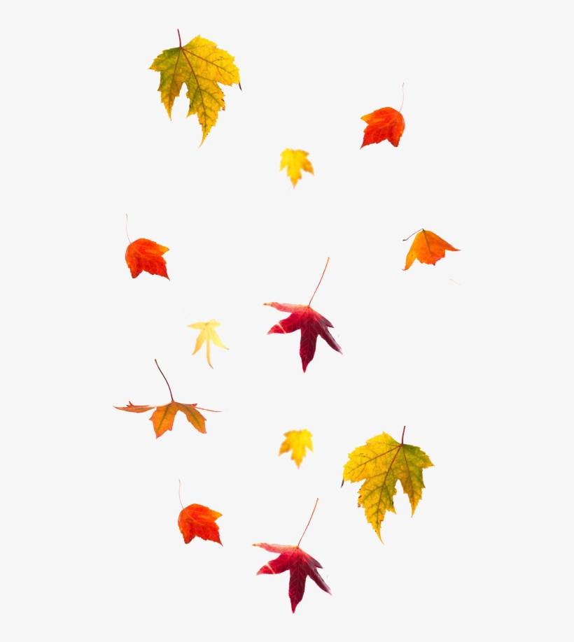 Santa Fe, transparent png download