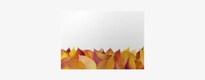 Colorful Autumn Leaves Lying Down On The Ground Poster - Autumn, transparent png download
