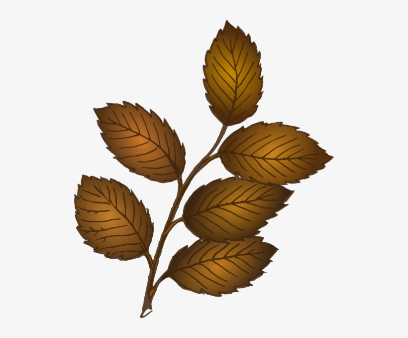 Brown Leaves On Branch, transparent png download