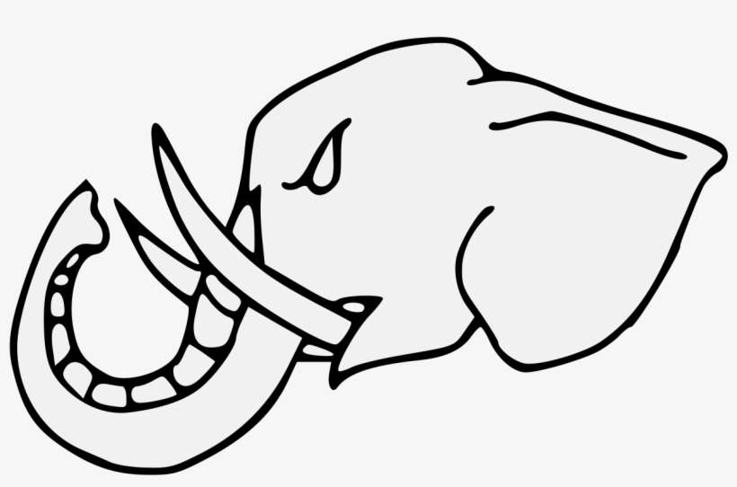 Elephant's Head Couped Close - Clip Art, transparent png download