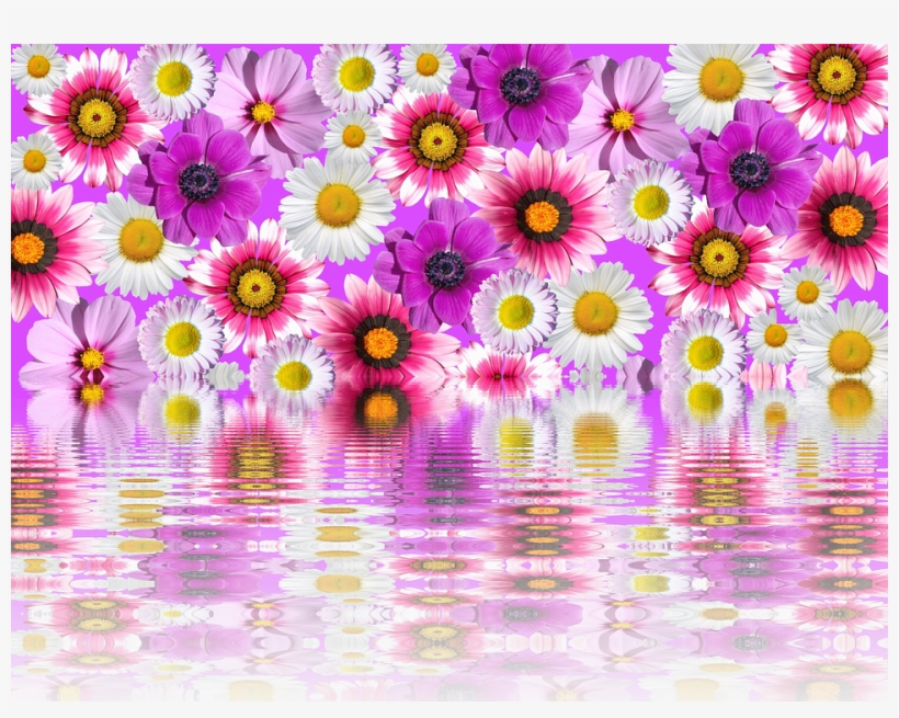 Purple And Pink Flowers Png Transpa - ! 5'x7'area Rug, transparent png download