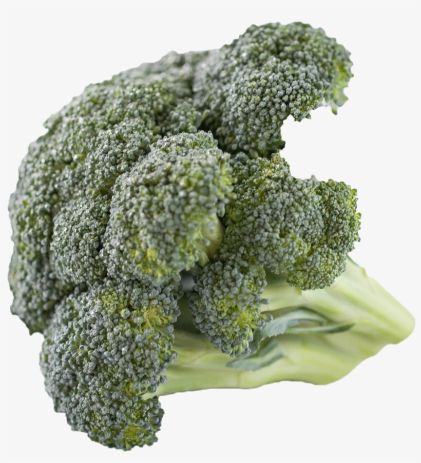 Broccoli Png Image, transparent png download