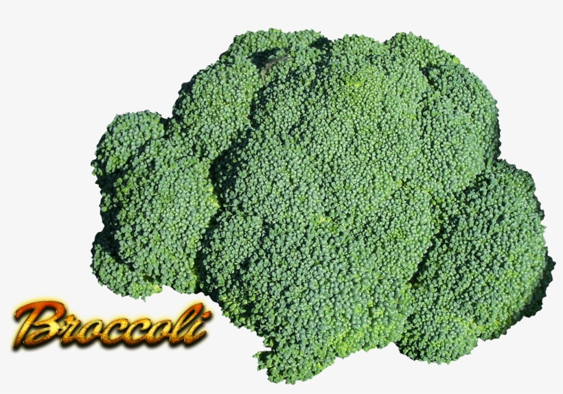 Broccoli Png, transparent png download