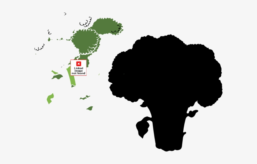 How To Set Use Broccoli 1 Color Svg Vector, transparent png download