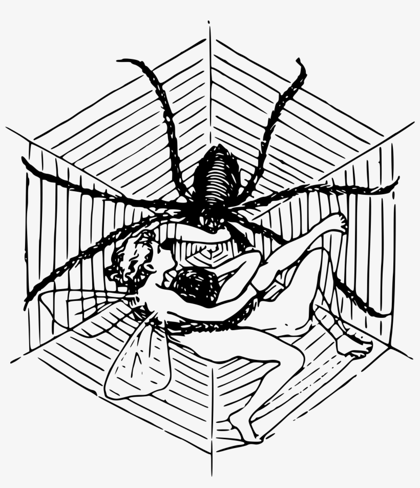 This Free Icons Png Design Of Fairies In A Spider Web, transparent png download