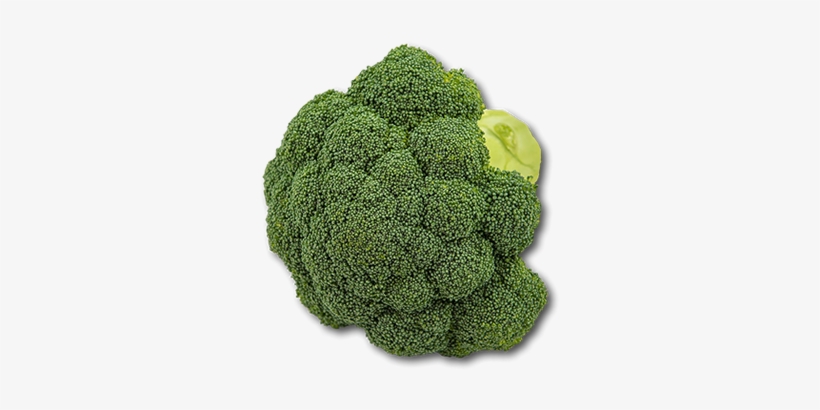 Australia Broccoli - Broccoli, transparent png download