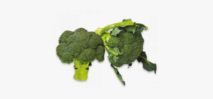 Broccoli - Leaves Vegetables, transparent png download