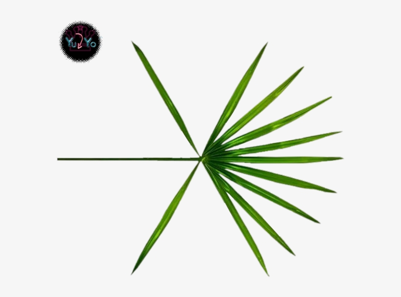 Exo Ko Ko Bop Exo Ko Ko Bop Exo Logo Ko Ko Bop Exo Ko Ko Bop Transparent Png 610x610 Free Download On Nicepng