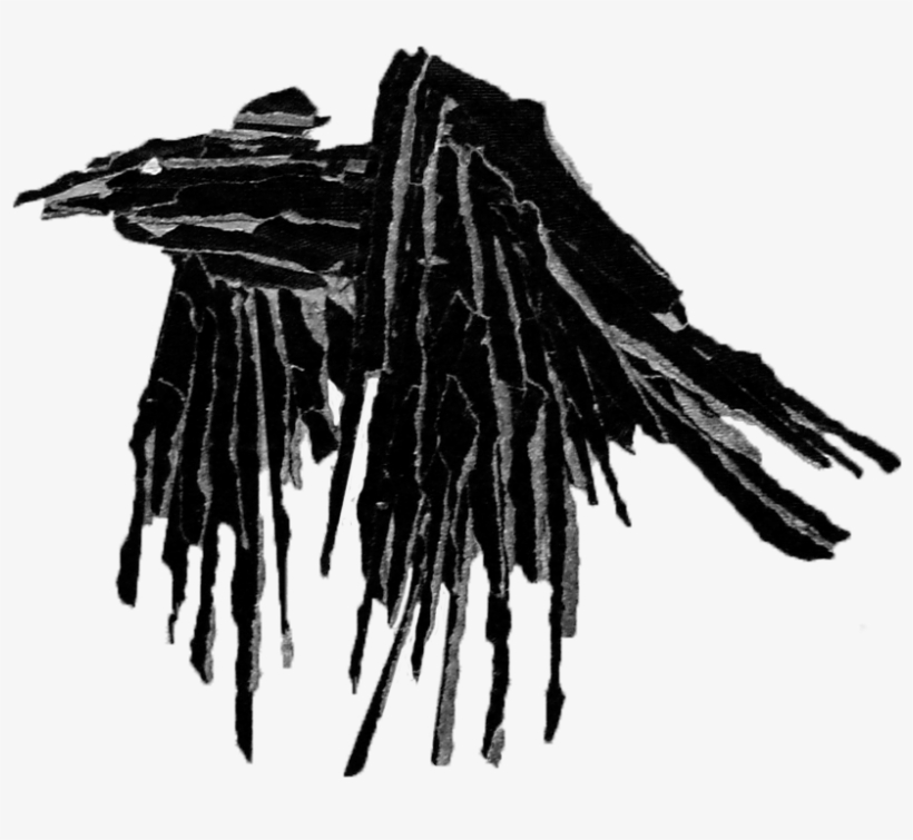 Exploration & Affirmation - Monochrome, transparent png download