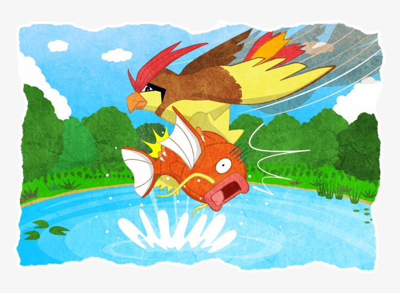 230kib, 770x530, Artwork De Pidgeotto Atrapando Un - Pidgeotto Magikarp, transparent png download