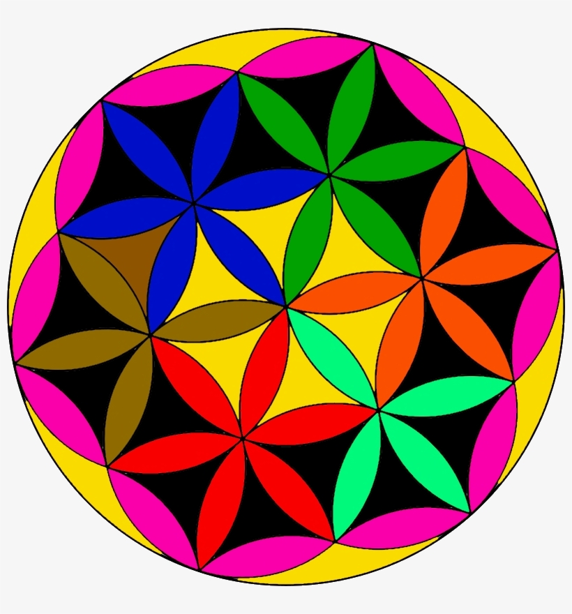 Flower Of Life - Circle, transparent png download