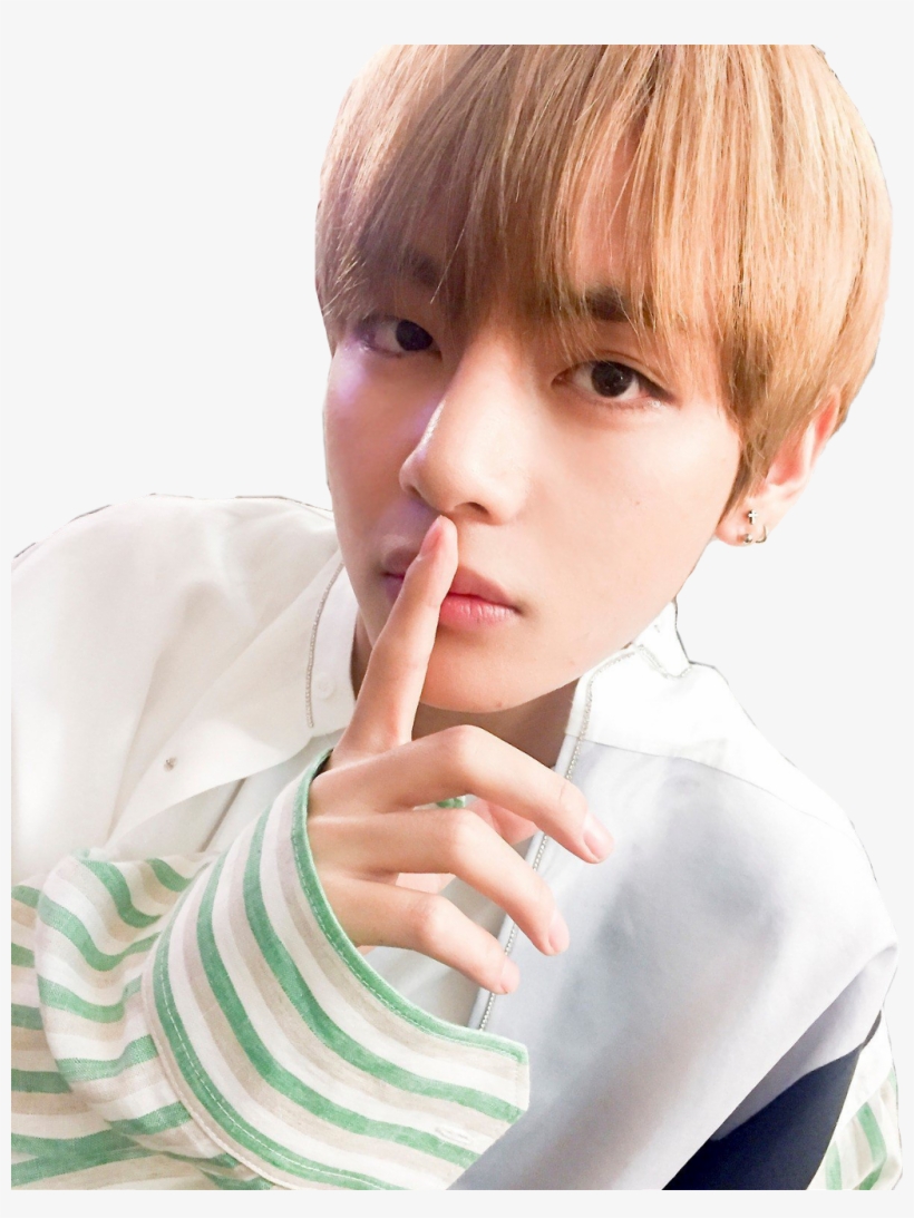 Reportar Abuso - Fluffy Taehyung, transparent png download
