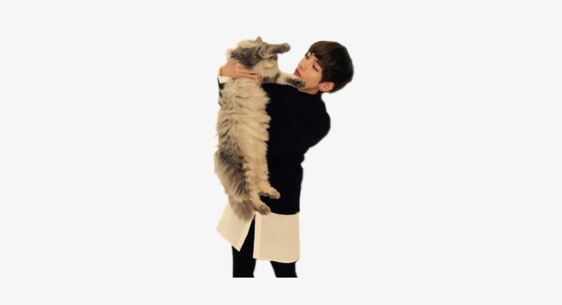 4 - Kpop Idols With Animals, transparent png download