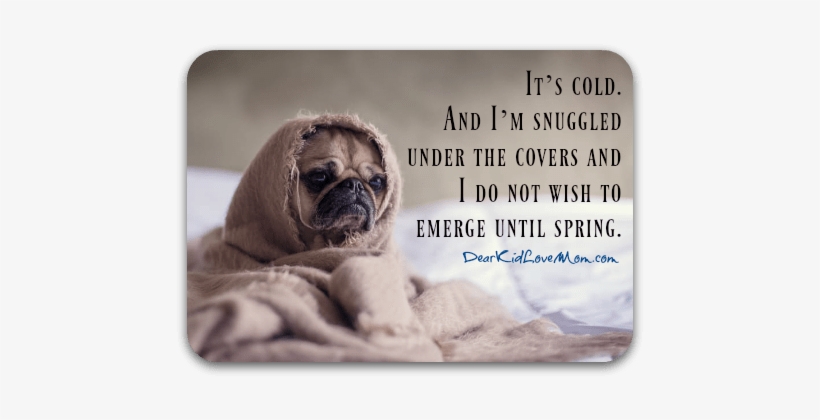 But It's Cold - Pug In A Blanket Dog Journal: 150 Page Lined Notebook/diary, transparent png download