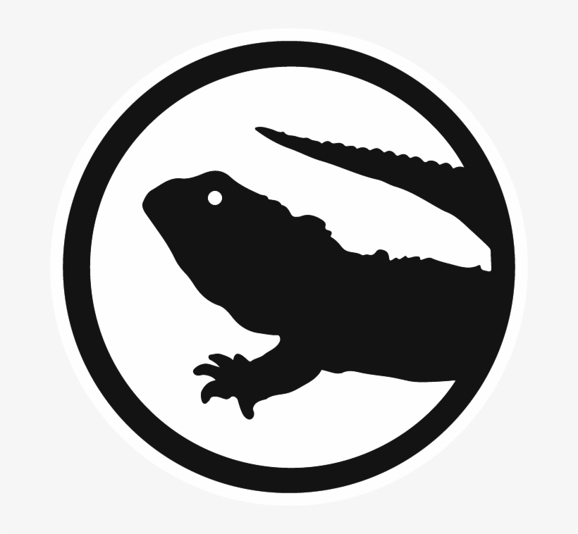 Tuatara John Green, transparent png download