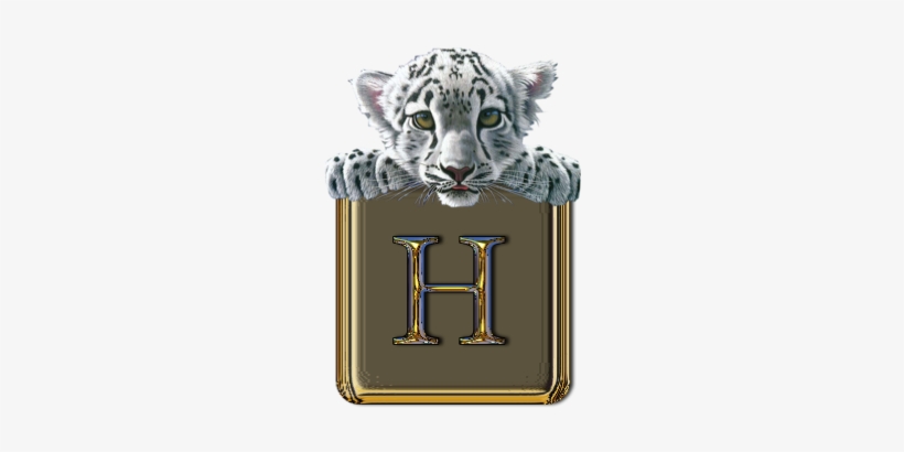 White Tiger Alphabet ~ Jewels Art Creation - Family Of Earth [book], transparent png download