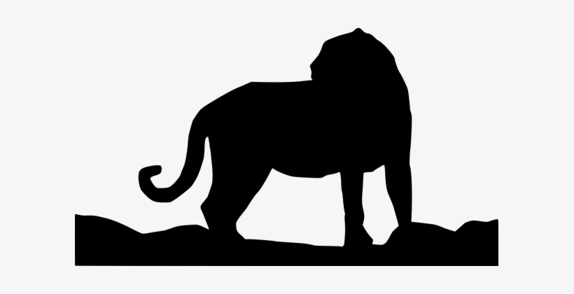 Tiger, Predator, Cat, Big Cat, Felidae - Cat, transparent png download