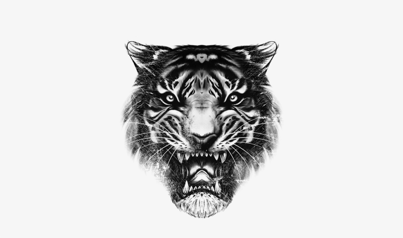 Drawn Tiger Pencil And - Tiger Top, transparent png download