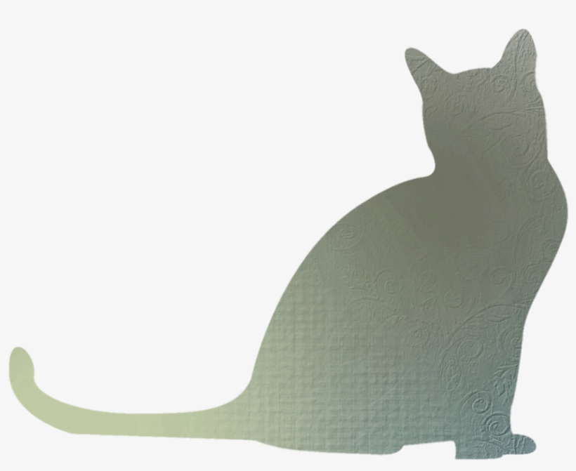 Whiskers Cat Shadow Clip Art - Cat Shadow Png, transparent png download