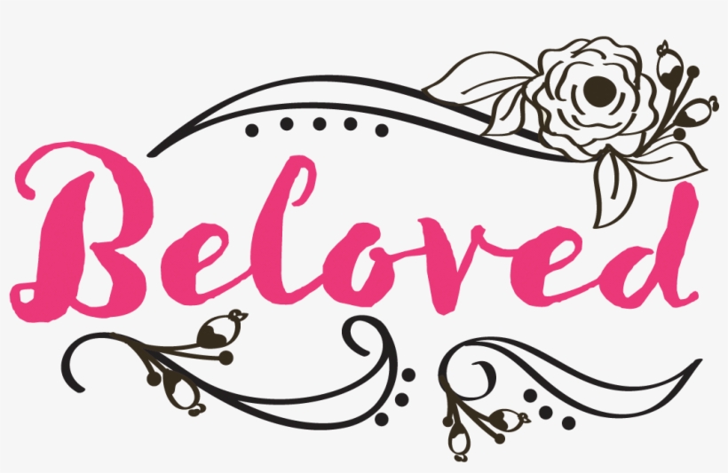 Our Brand New Beloved Collection - Illustration, transparent png download