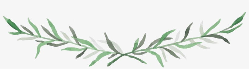 Design Galleries - Plant Design Png, transparent png download