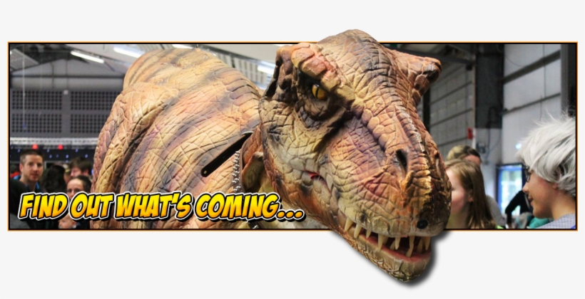 What's On At Nor-con - Film, transparent png download