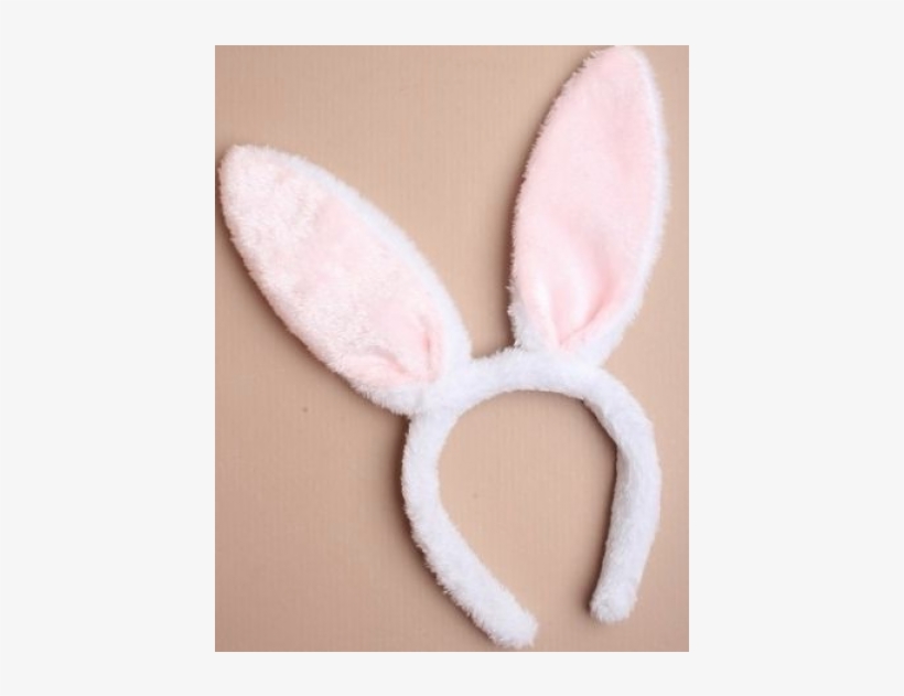 Rabbit, transparent png download