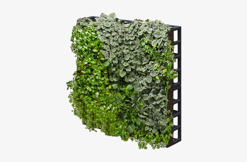 Our Gallery - Png Transparent Green Wall, transparent png download
