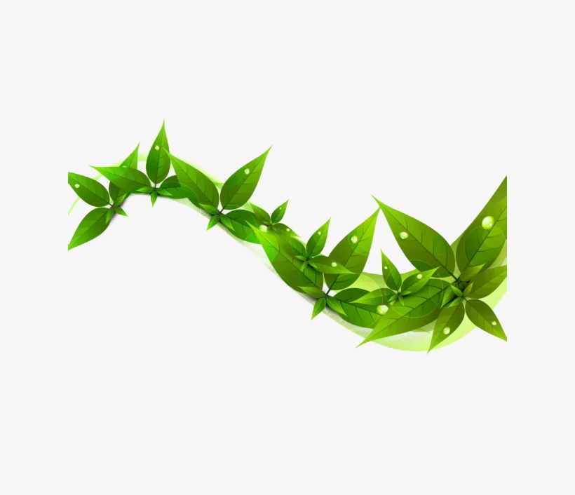1/2 The Cost Of Other Organic Oral Care Products With - صور الماهر بالقرآن مع السفرة الكرام البررة, transparent png download