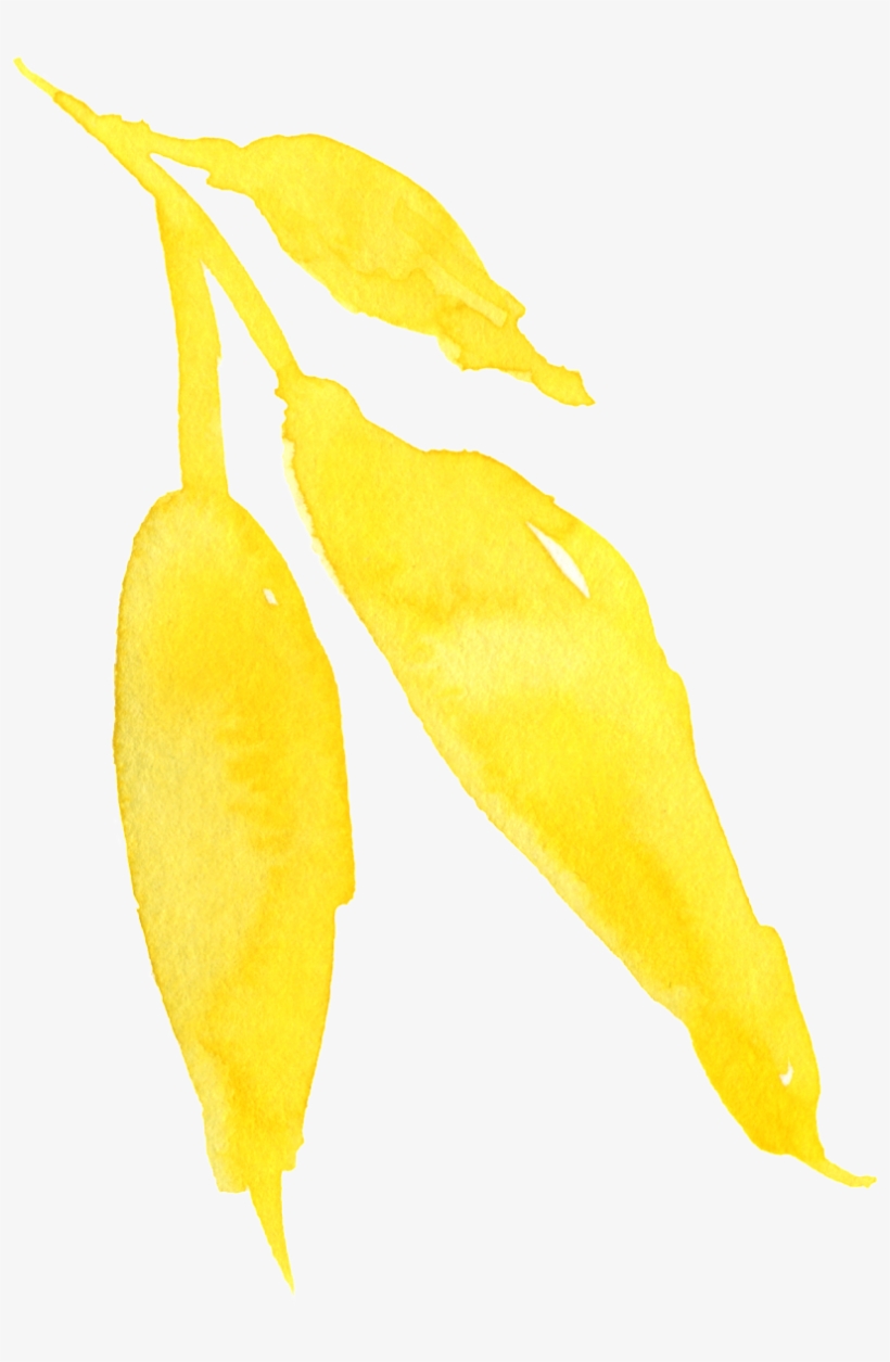 This Graphics Is Watercolor Yellow Flower Transparent - Tree, transparent png download