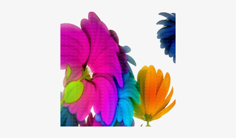 Fleurs Cadre - Osho Collection, Volume 1: Who Says Humanity Needs, transparent png download
