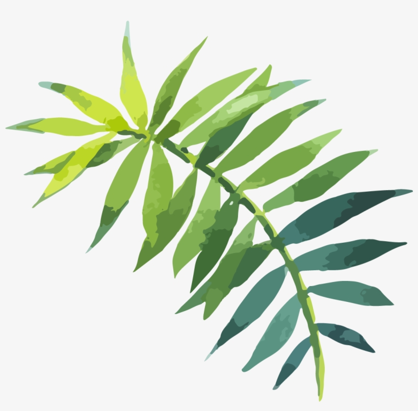 Leaf Watercolor Painting Hand Painted Green Leaves - Cc Wonderland Soft Decorative Square Pillow Cases Linen, transparent png download