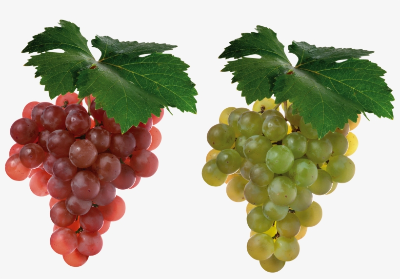 Red Grapes, transparent png download