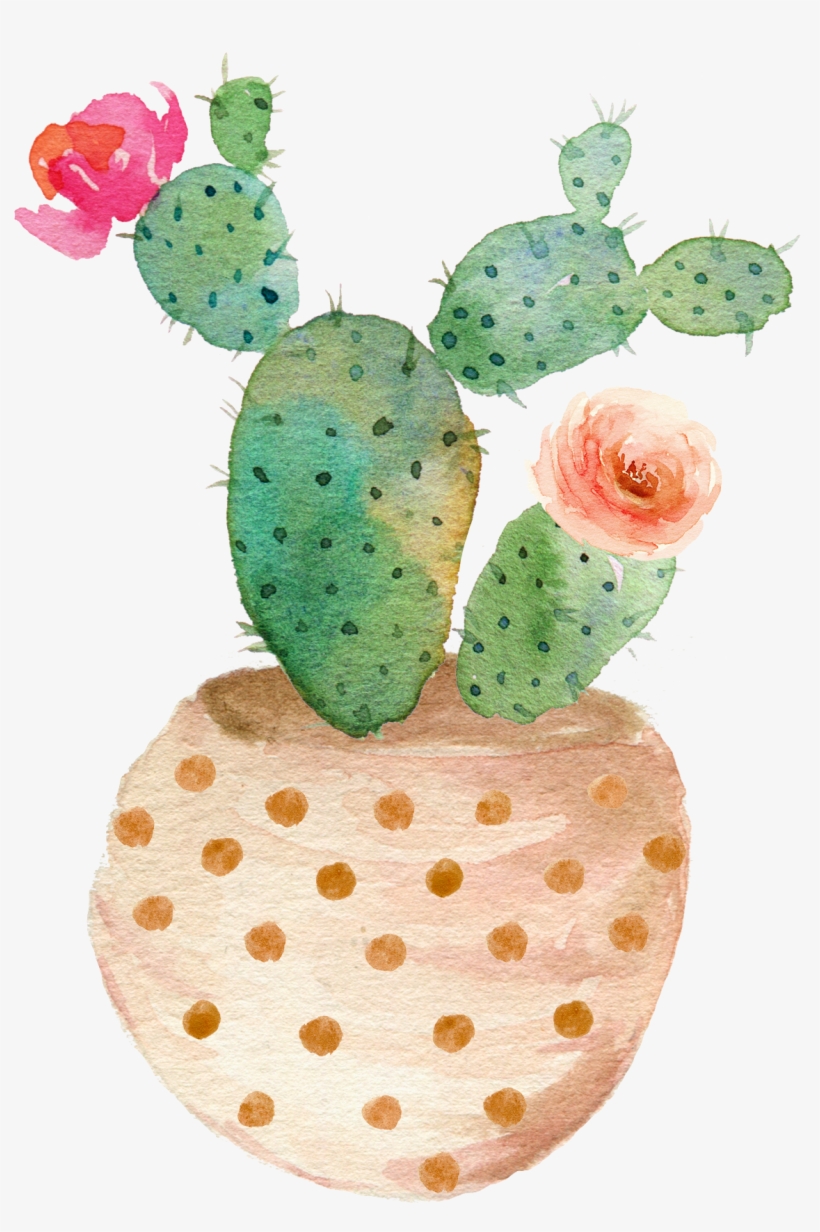 Vector Transparent Library Painting Succulent Plant, transparent png download