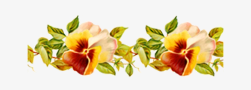 Flower Border Png - Blank Greeting Cards Designs, transparent png download