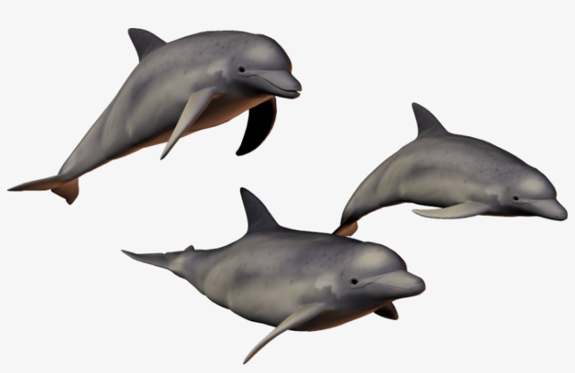 Free Png Dolphin Png Images Transparent - Dolphin With A Transparent Background, transparent png download