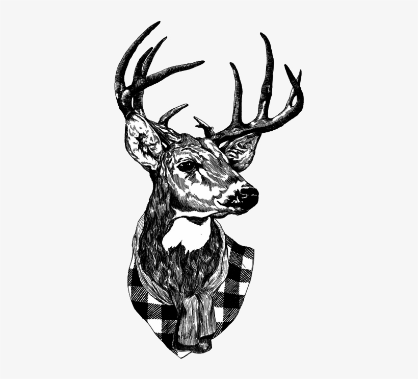 Deer, Hipster, And Png Image - Deer Hipster Png, transparent png download
