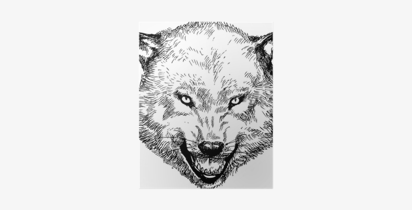 Wolf Head Png, transparent png download